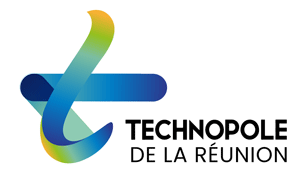 référencement local La Réunion